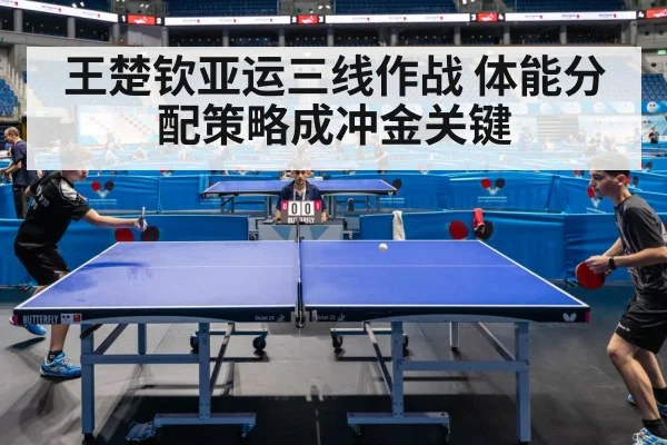 王楚钦亚运三线作战 体能分配策略成冲金关键